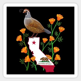 California quail state bird Californian poppy flowers Magnet